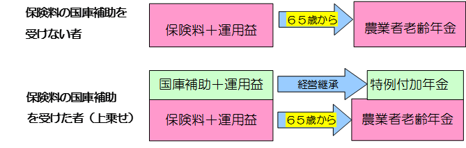 保険料の国庫補助を受けない者は65歳から農業者老齢年金の受給となるのに対し、保険料の国庫補助を受けた者は65歳から農業者老齢年金に上乗せして特例付加年金を受け取ることができる。