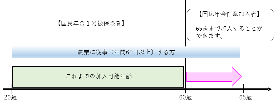 (2)特例付加年金 受給開始時期